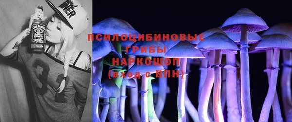 хмурый Арсеньев
