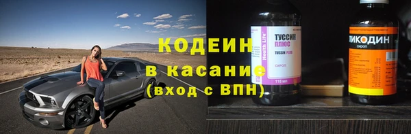 хмурый Арсеньев