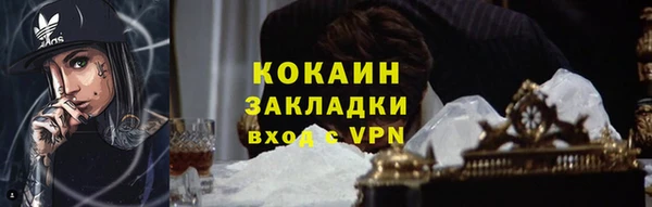 хмурый Арсеньев