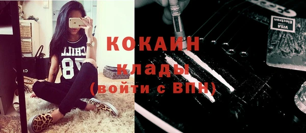 хмурый Арсеньев