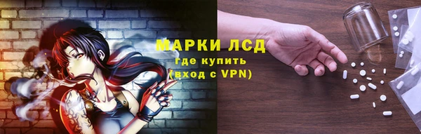 хмурый Арсеньев