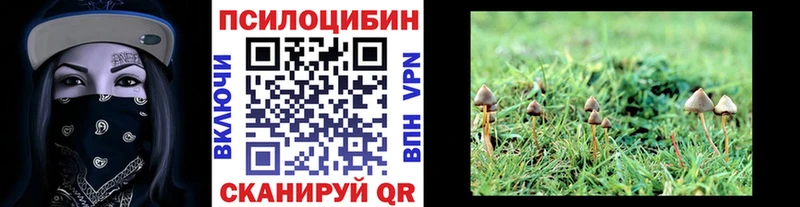 где купить наркоту  Пыть-Ях  Галлюциногенные грибы GOLDEN TEACHER 